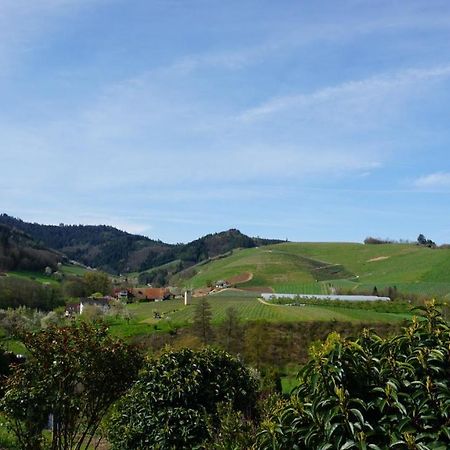 Ferienwohnung Anna Durbach Buitenkant foto